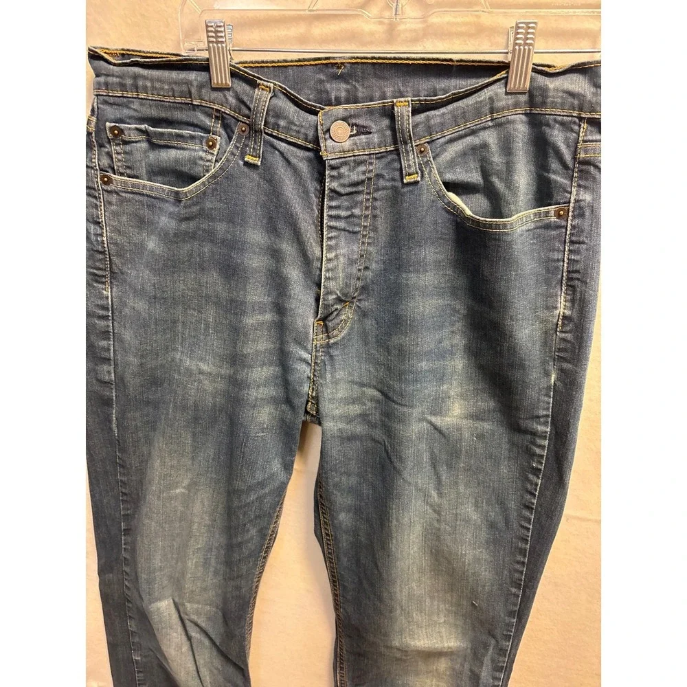 Levis levis 541